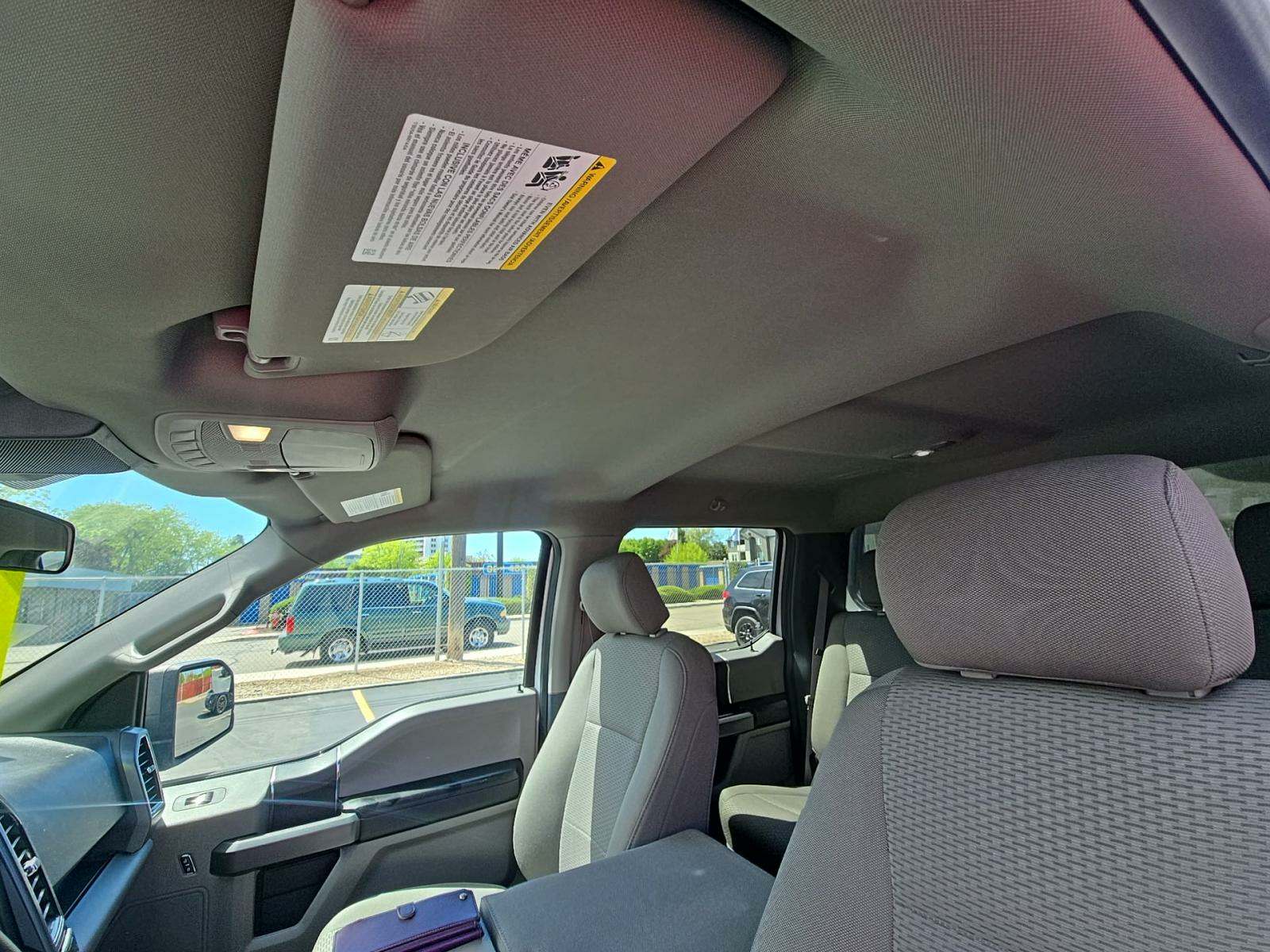 2019 Ford F-150 XLT RWD