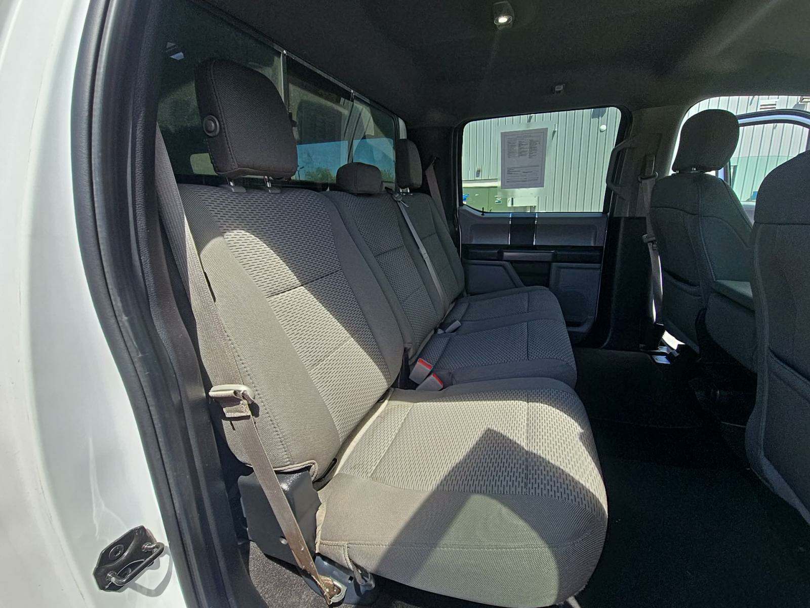 2019 Ford F-150 XLT RWD