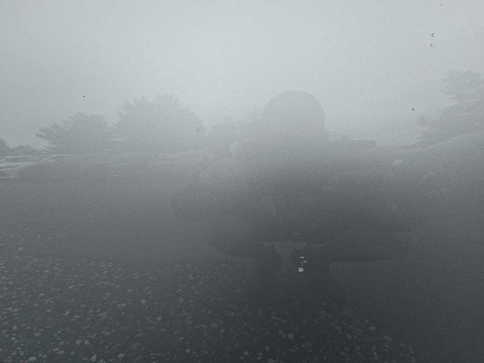 2020 Toyota Avalon XLE FWD