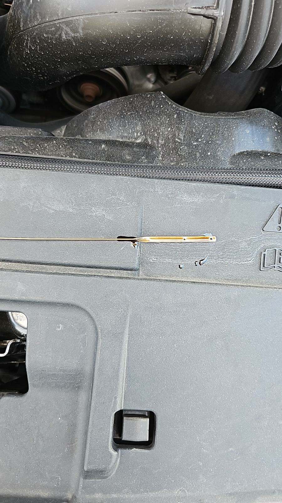 2018 Ford Mustang EcoBoost RWD