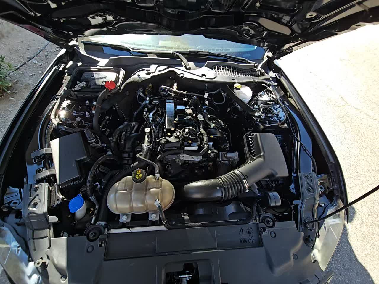 2022 Ford Mustang EcoBoost Premium RWD