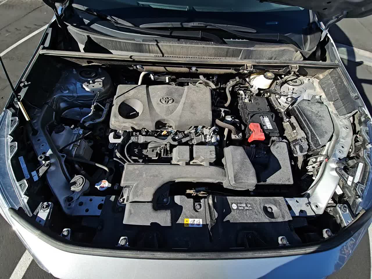 2024 Toyota RAV4 XLE FWD