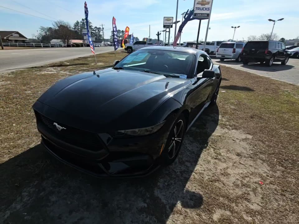 2025 Ford Mustang EcoBoost RWD