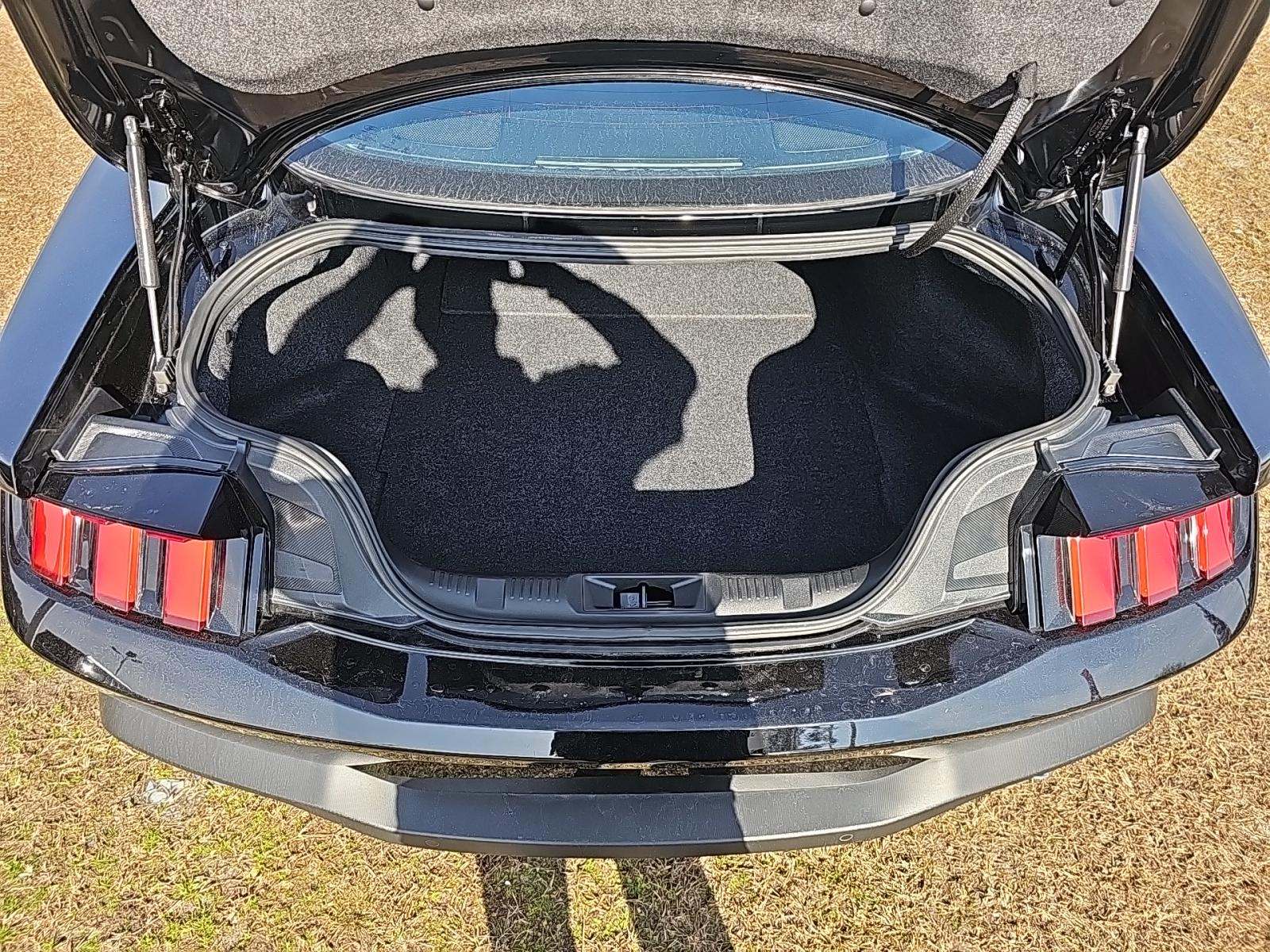 2025 Ford Mustang EcoBoost RWD