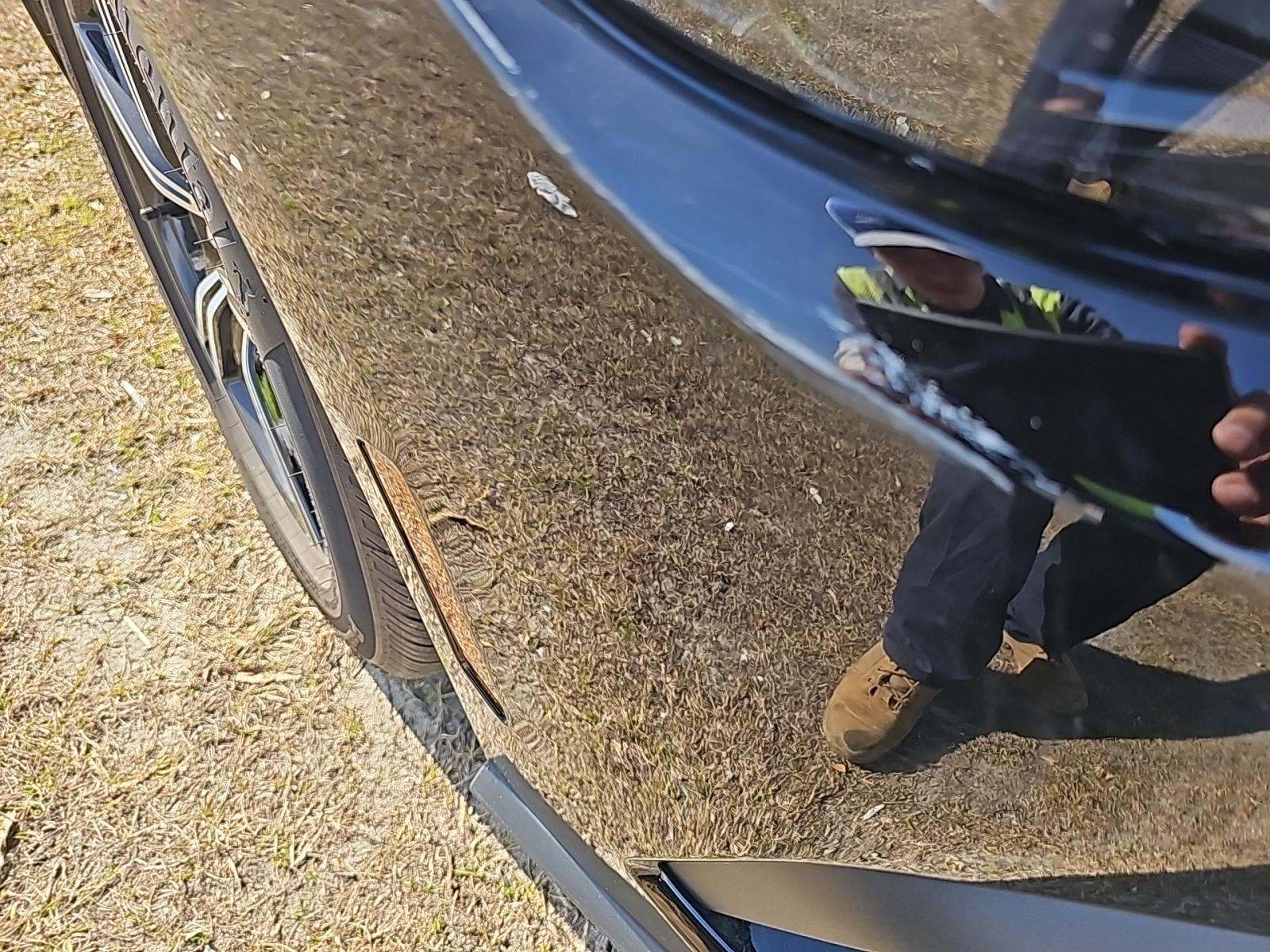 2025 Ford Mustang EcoBoost RWD