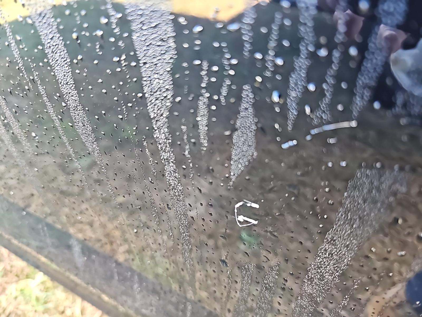 2018 Ford F-150 XLT RWD