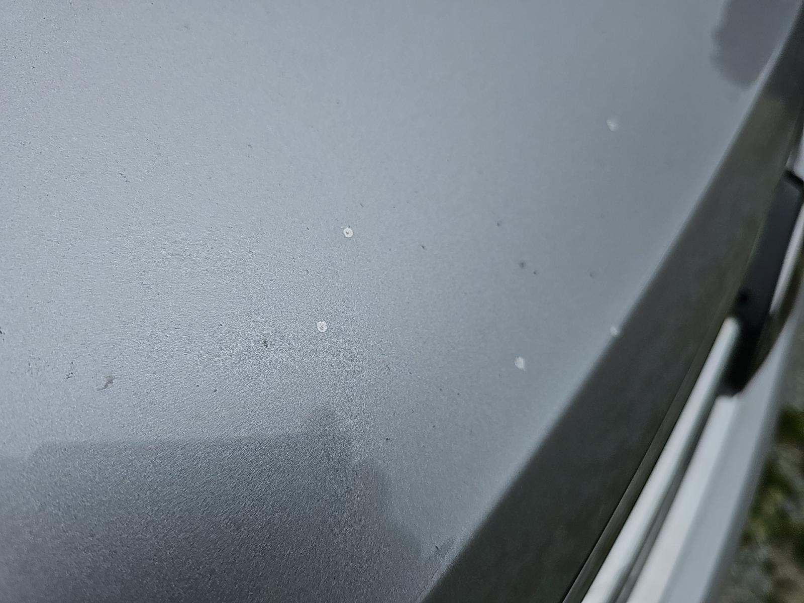 2022 Volkswagen Tiguan 2.0T SE AWD