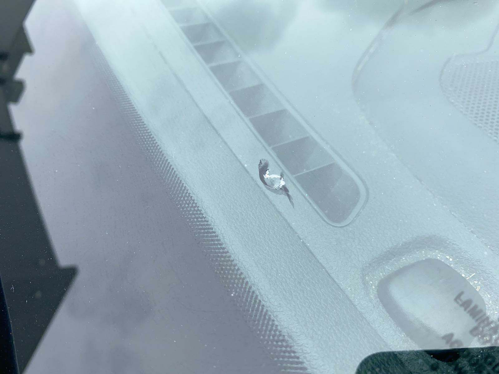 2019 Ford Escape SE FWD