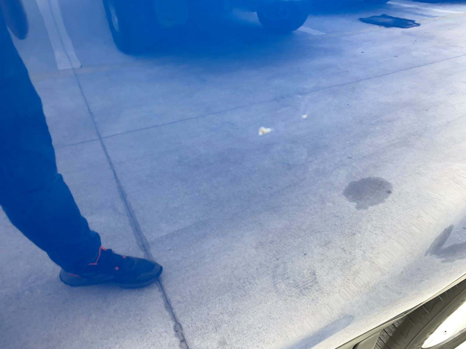 2019 Ford Escape SE FWD