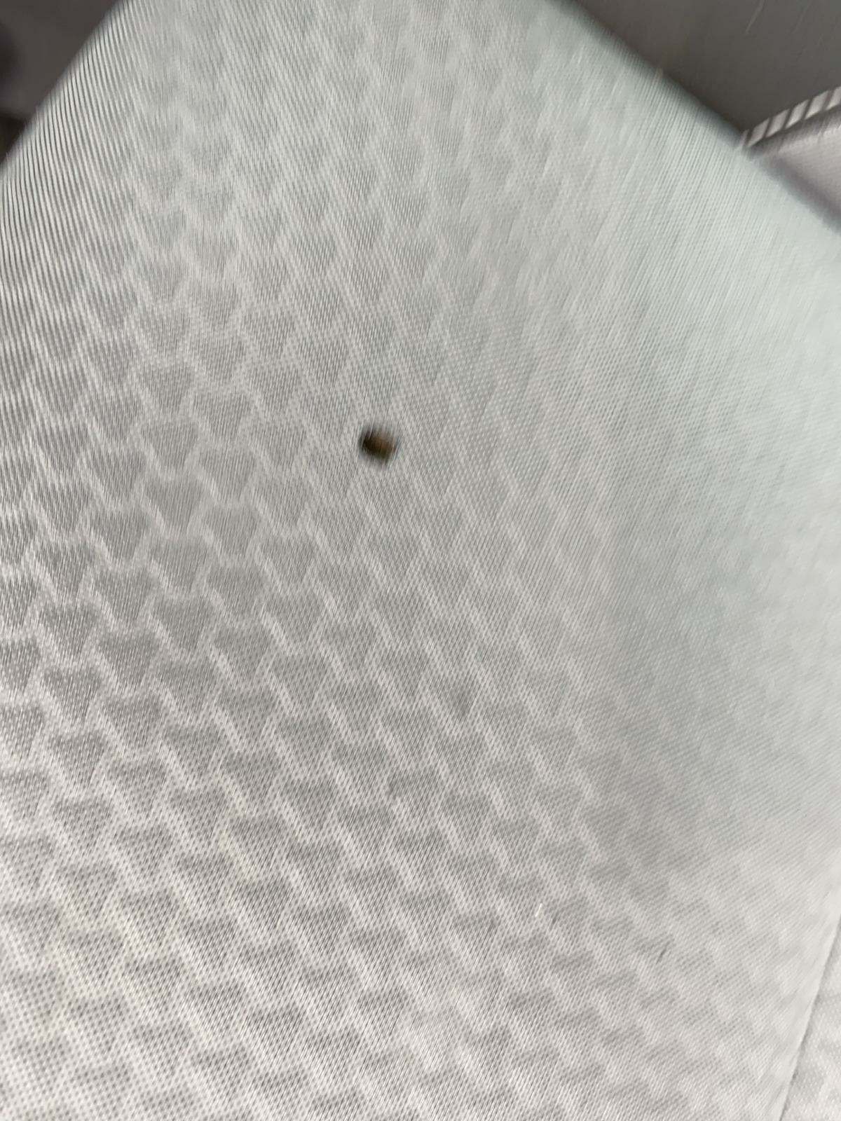 2019 Ford Escape SE FWD