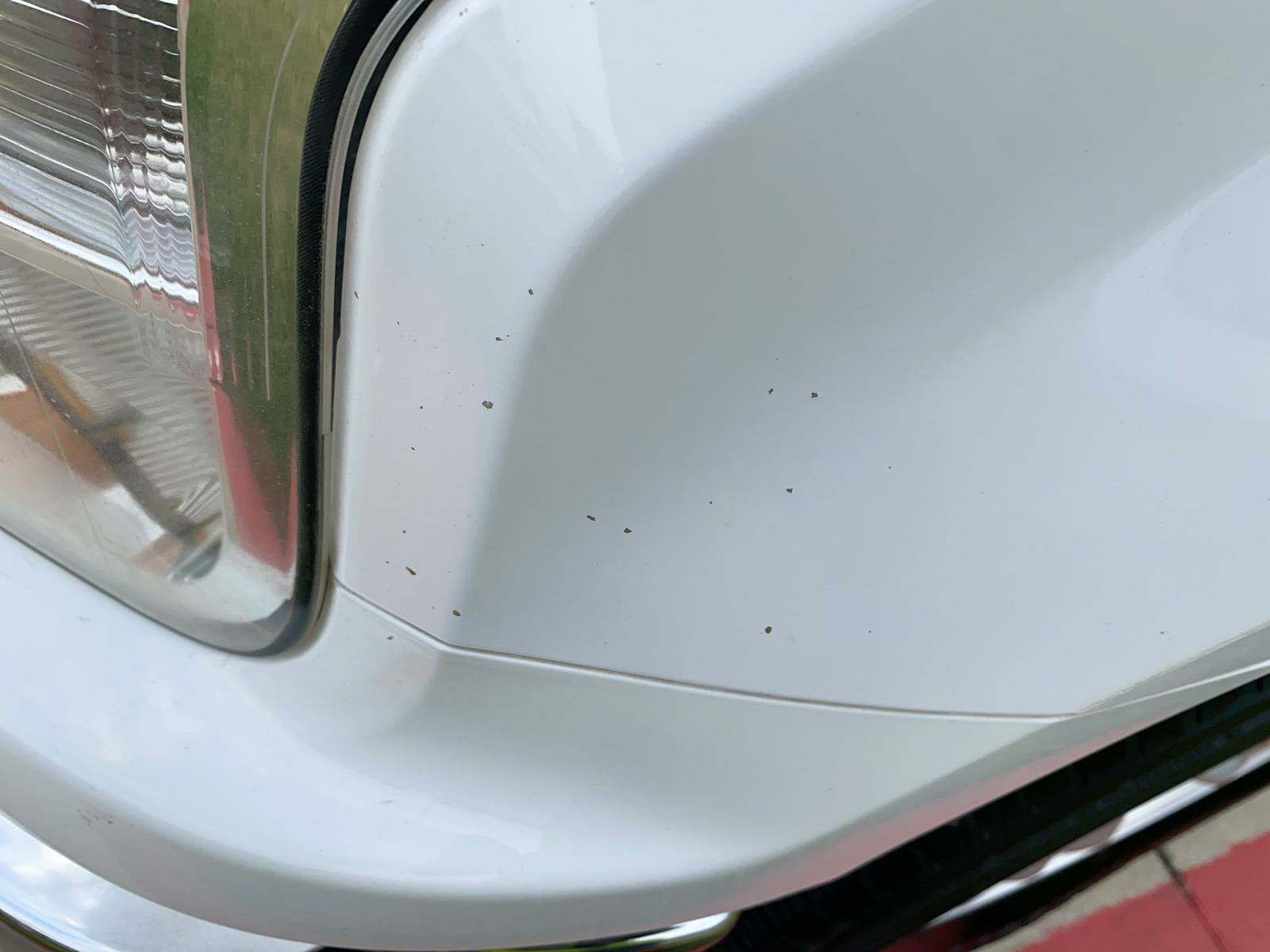 2018 Ford F-150 XL RWD