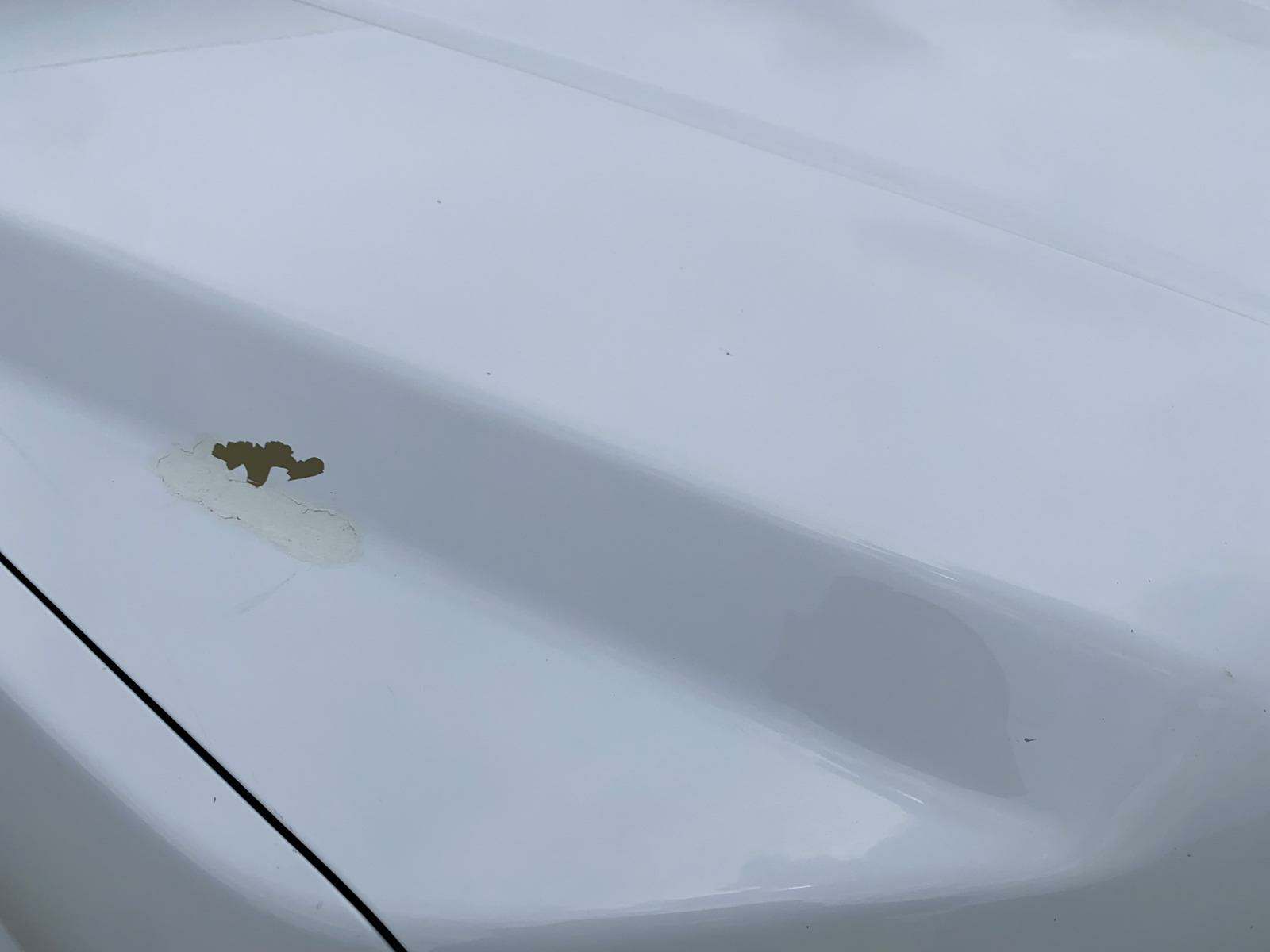 2018 Ford F-150 XL RWD