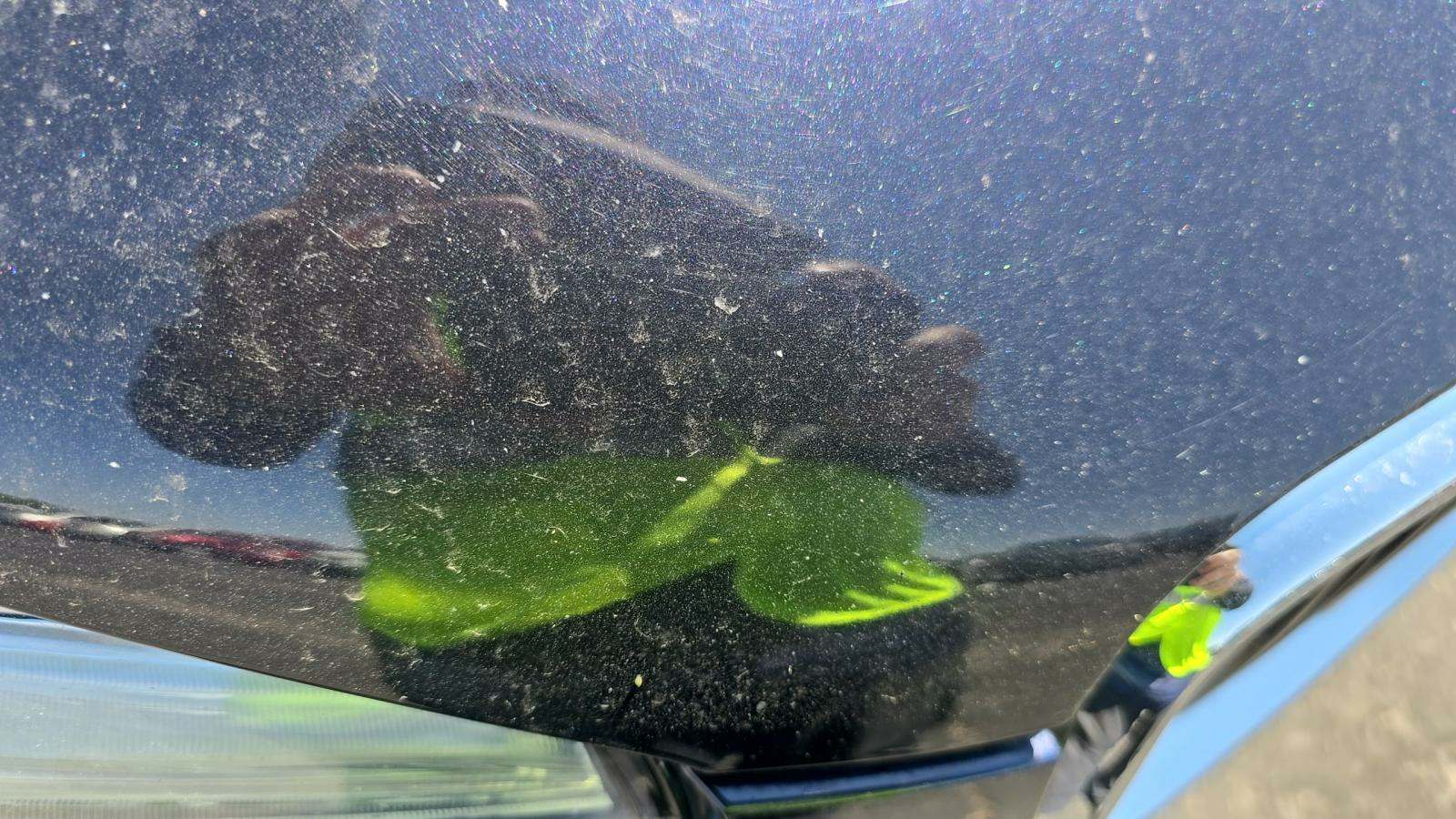 2019 Volvo XC90 T5 Momentum AWD