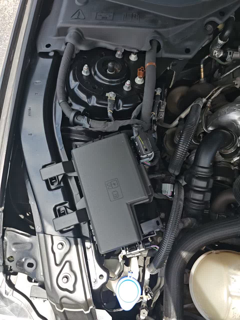 2023 Ford Mustang EcoBoost Premium RWD