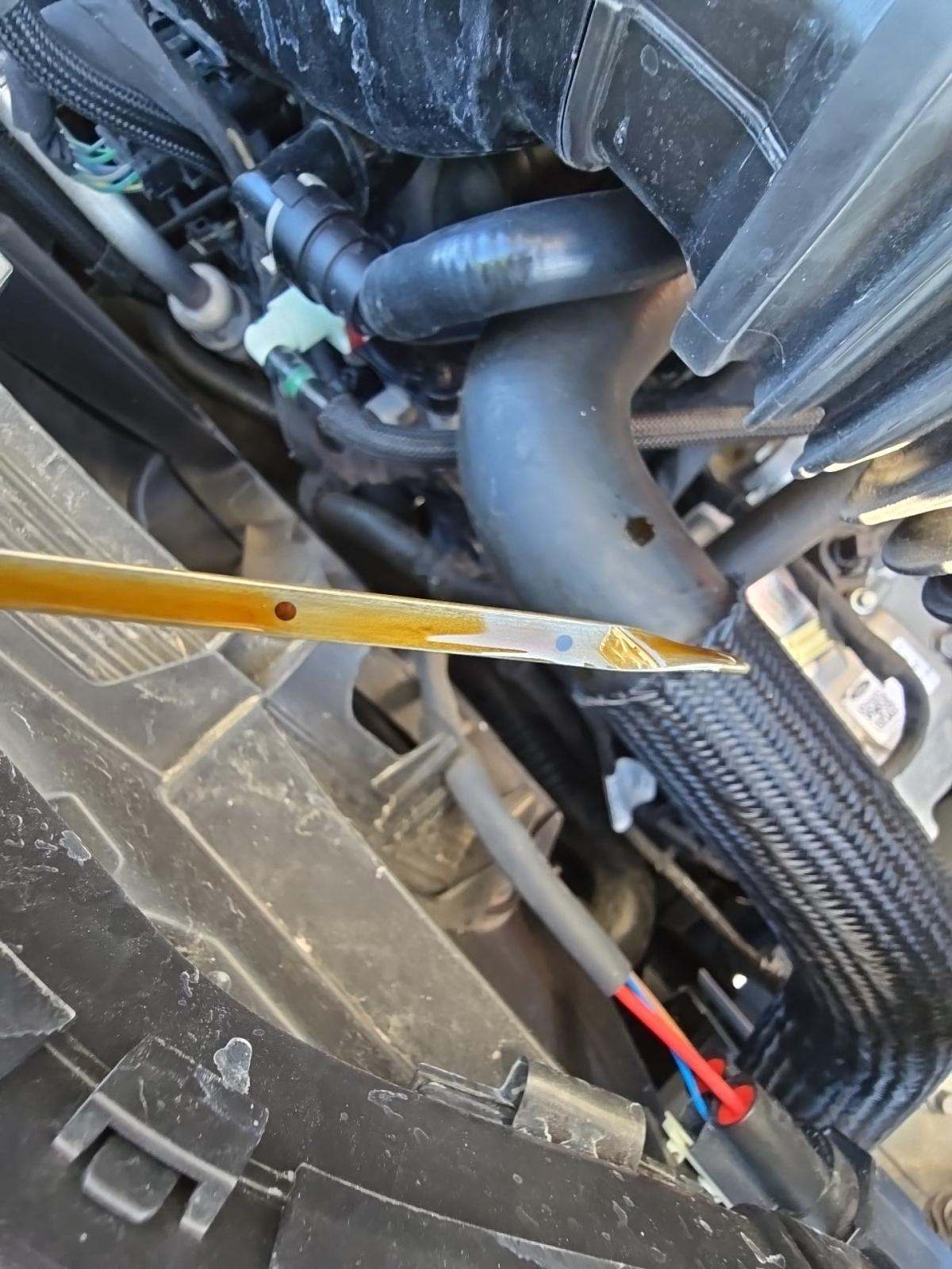 2025 Ford Escape Active FWD