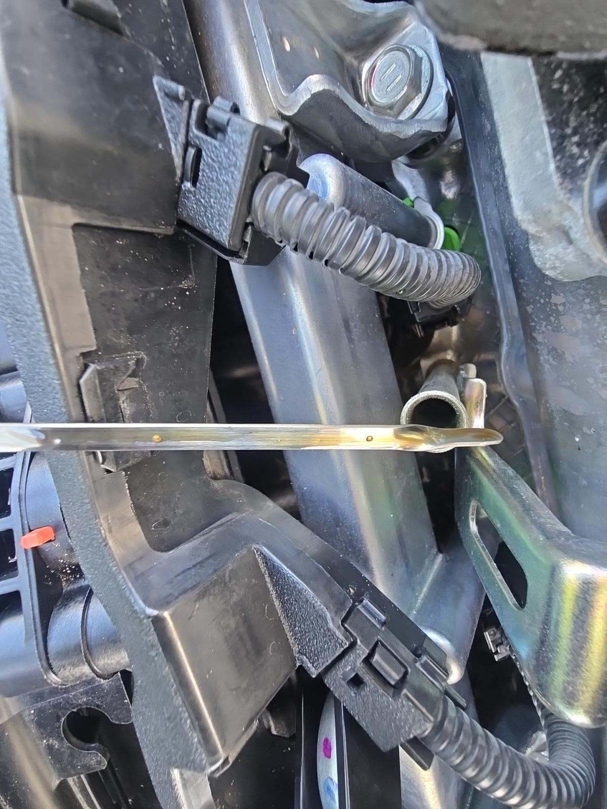 2024 Toyota RAV4 XLE FWD