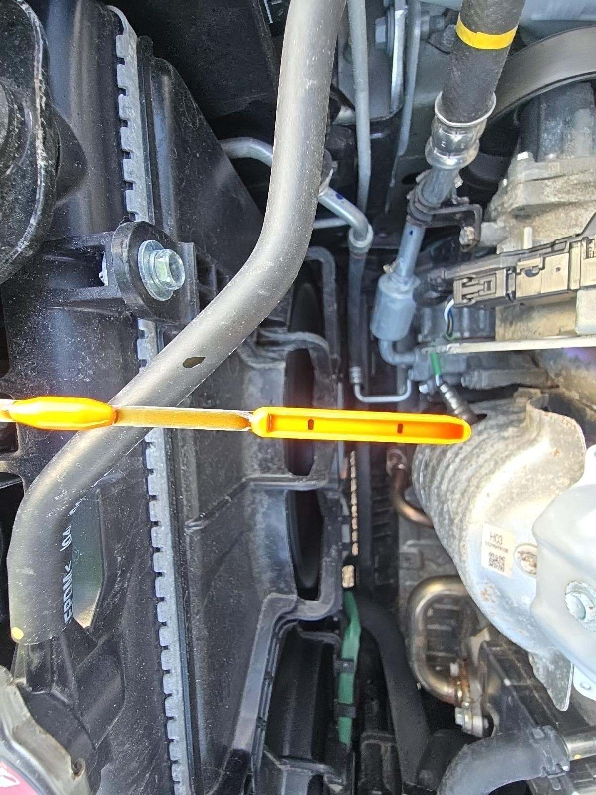 2025 Honda Civic Sport FWD