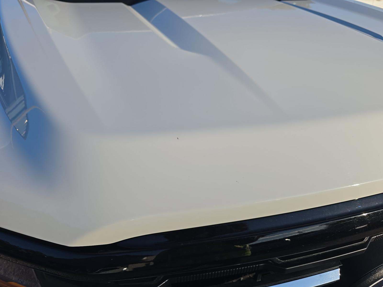 2025 Ford F-150 XLT RWD