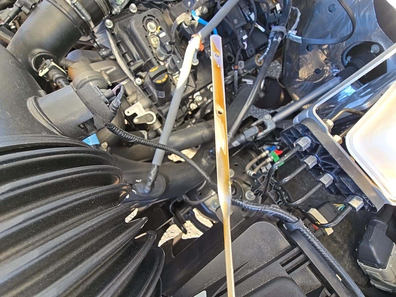 2025 Ford F-150 XLT RWD