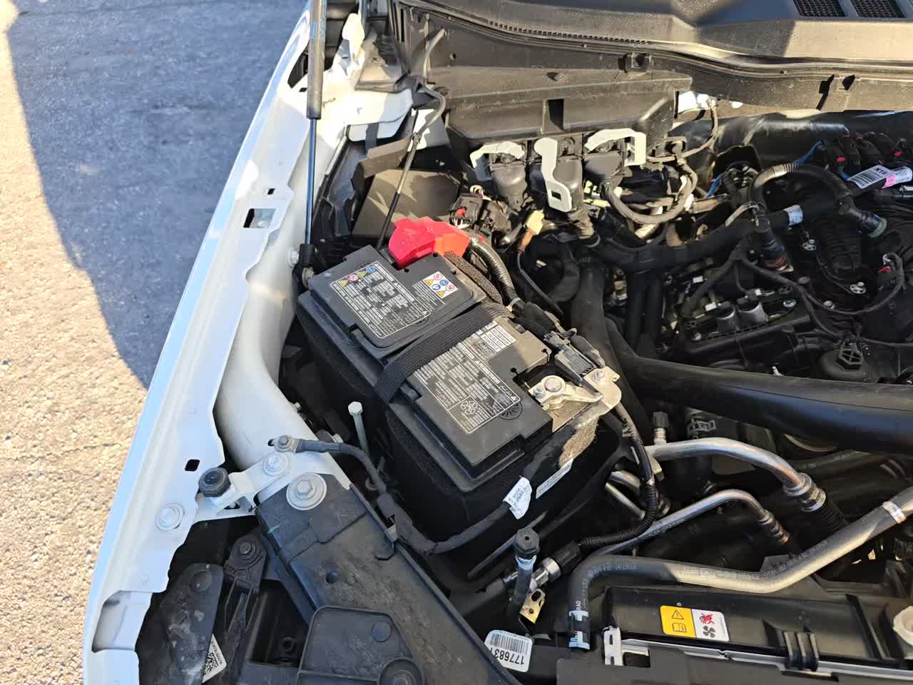 2025 Ford F-150 XLT RWD