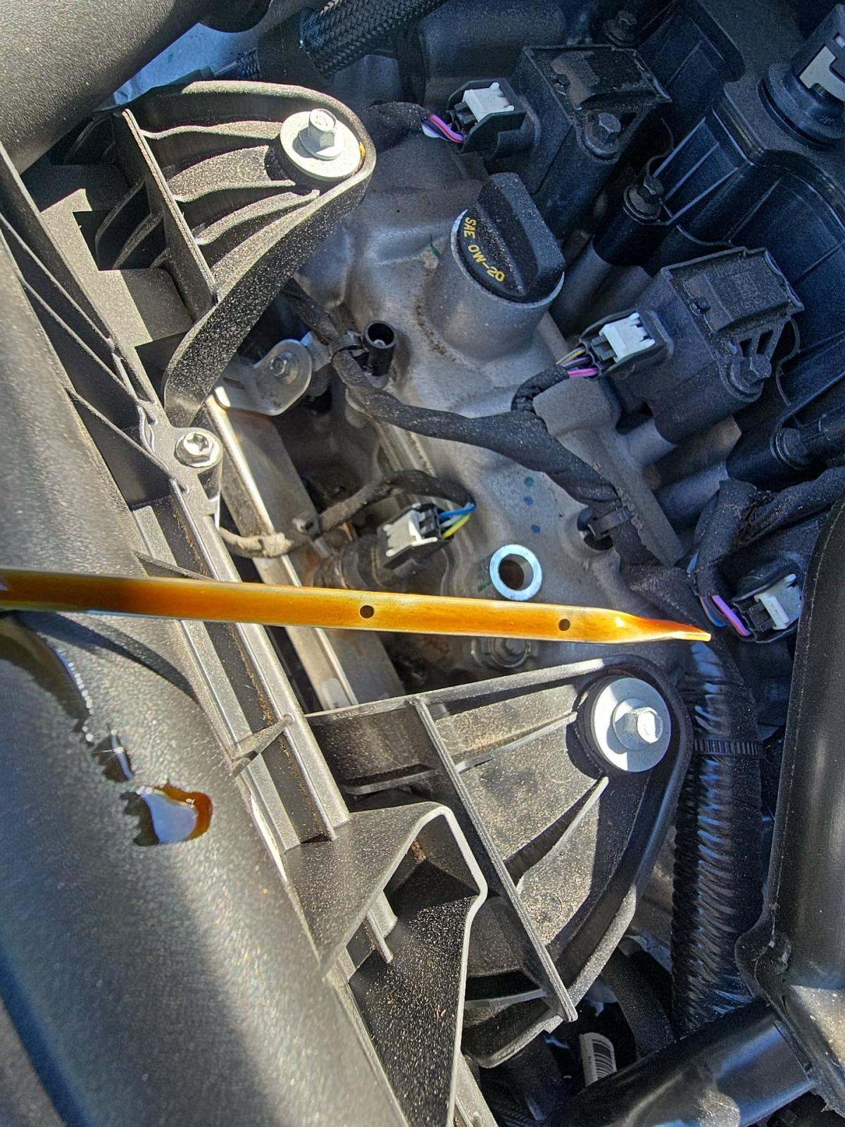 2024 Ford Escape Active FWD