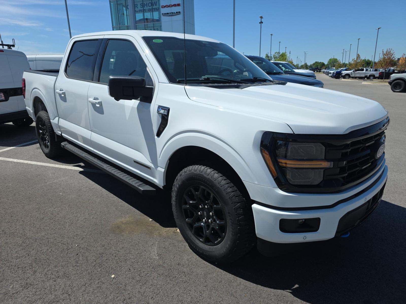 FORD F-150 - 4