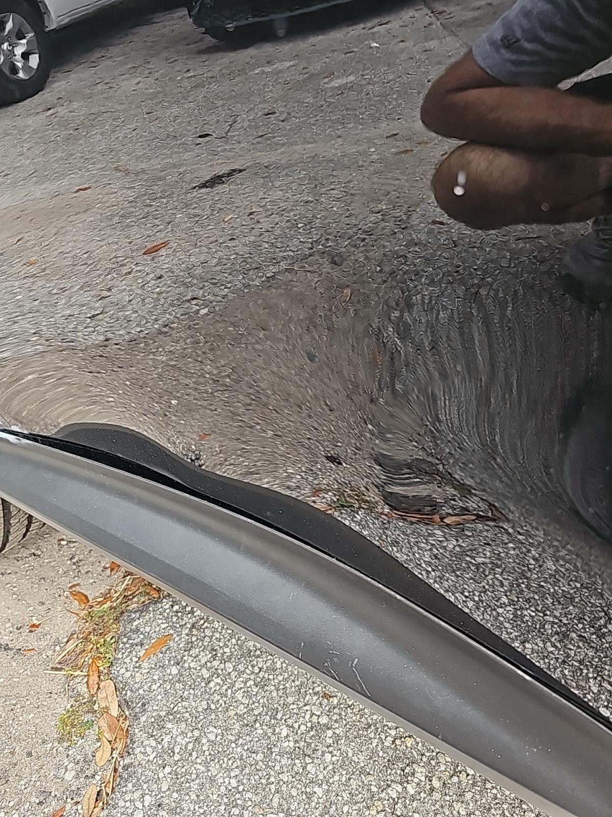 2025 Lexus NX NX 350 AWD