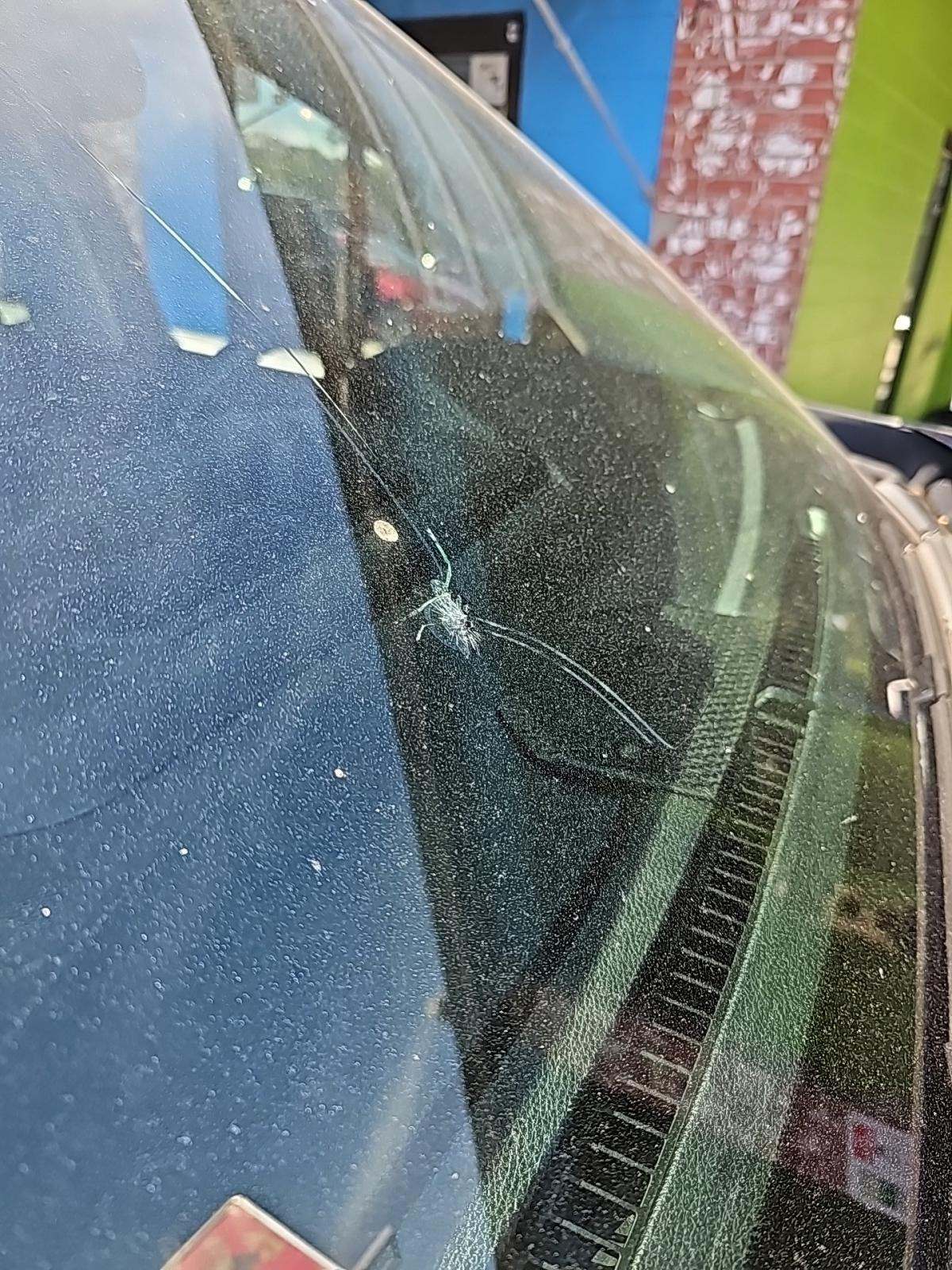 2022 Toyota Tundra SR5 AWD