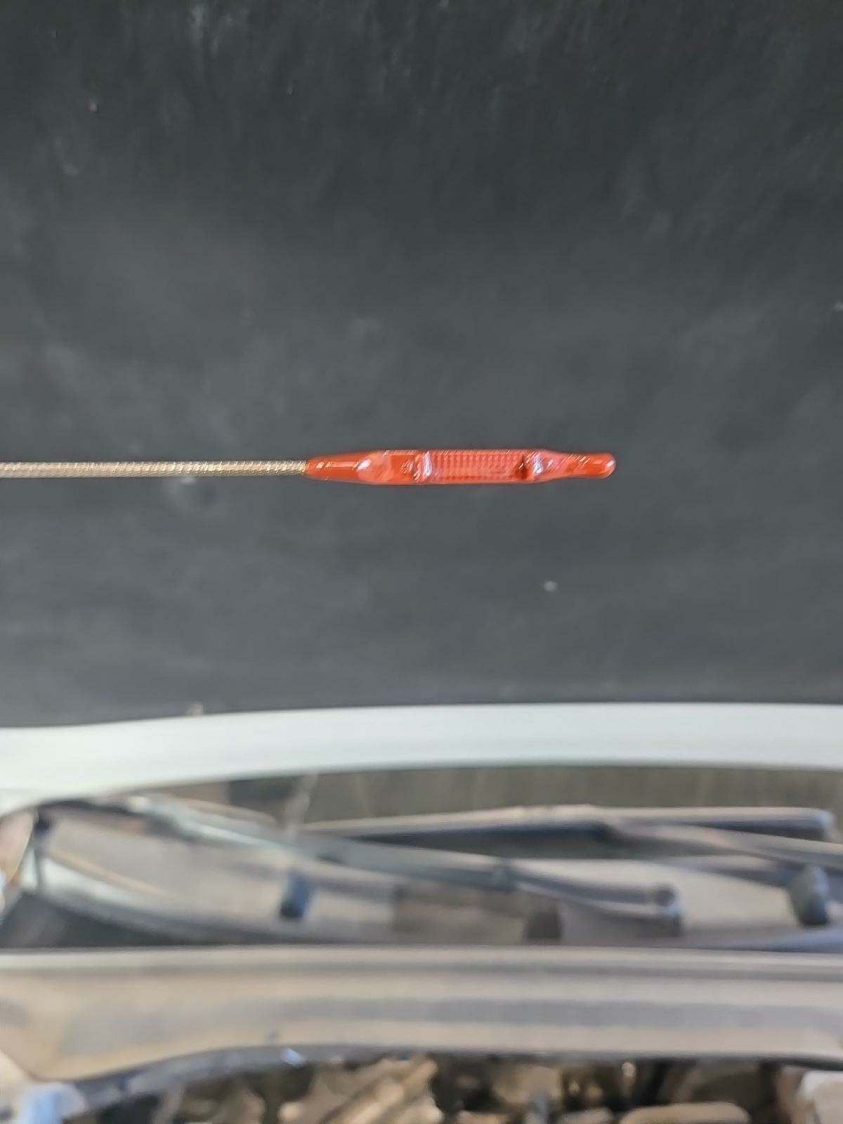 2021 Kia K5 GT-Line FWD