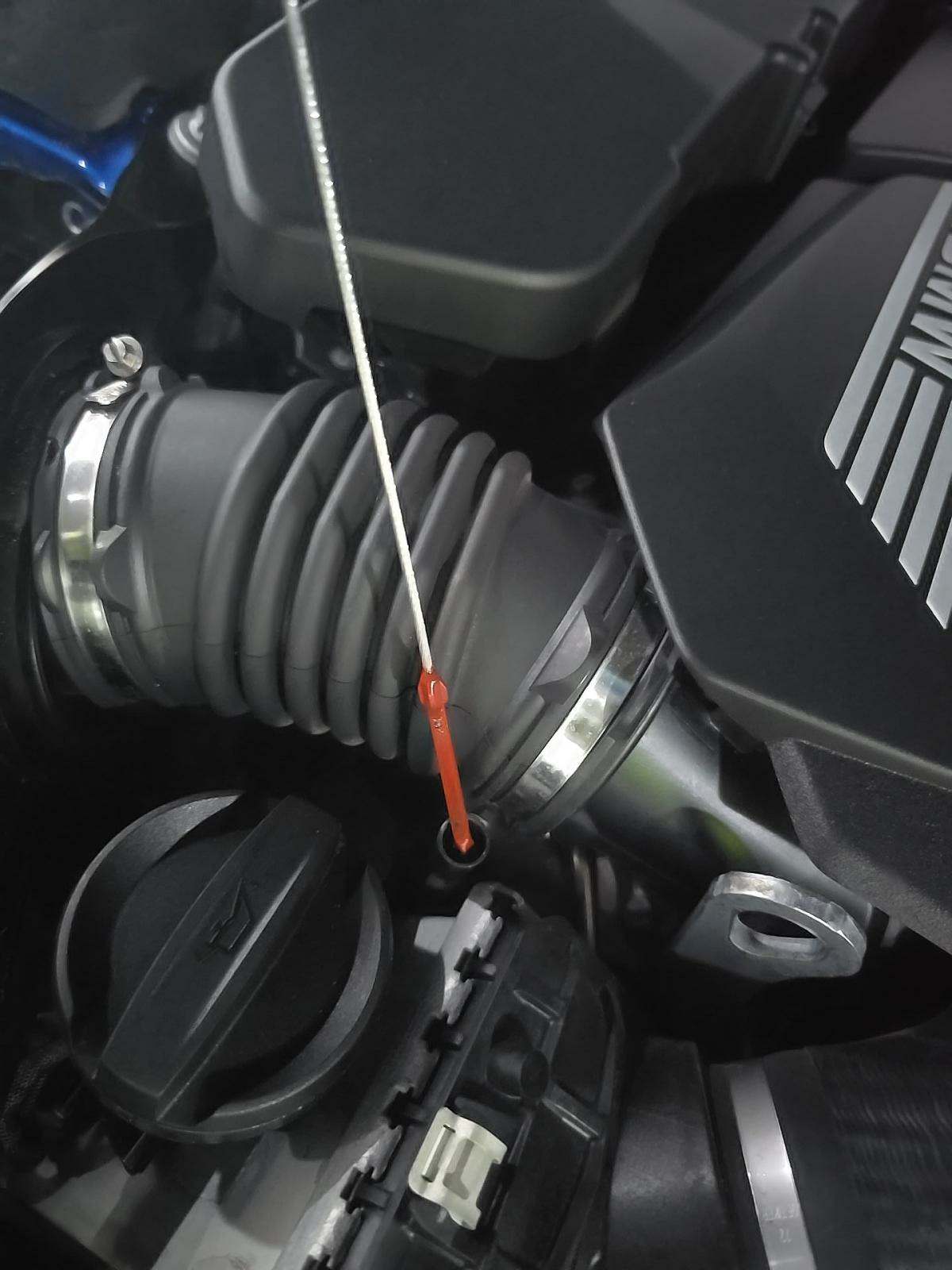 2019 BMW 8 Series M850i xDrive AWD