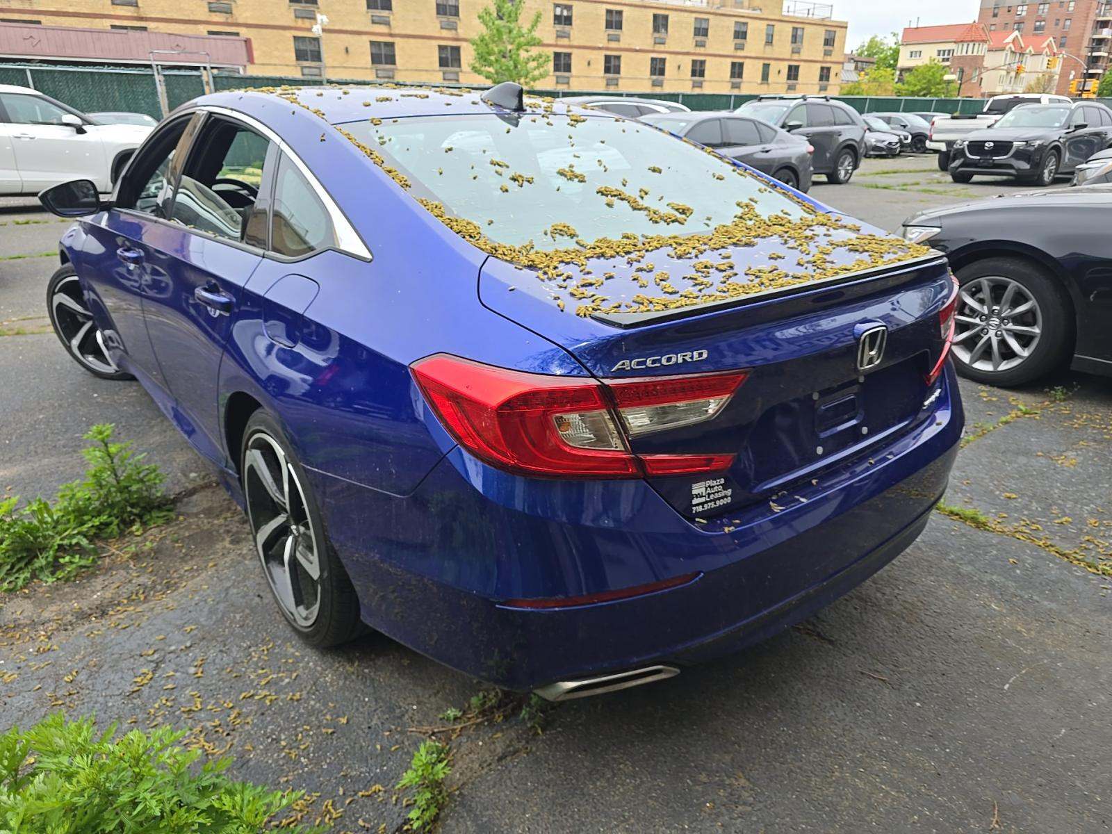 2022 Honda Accord Sport FWD