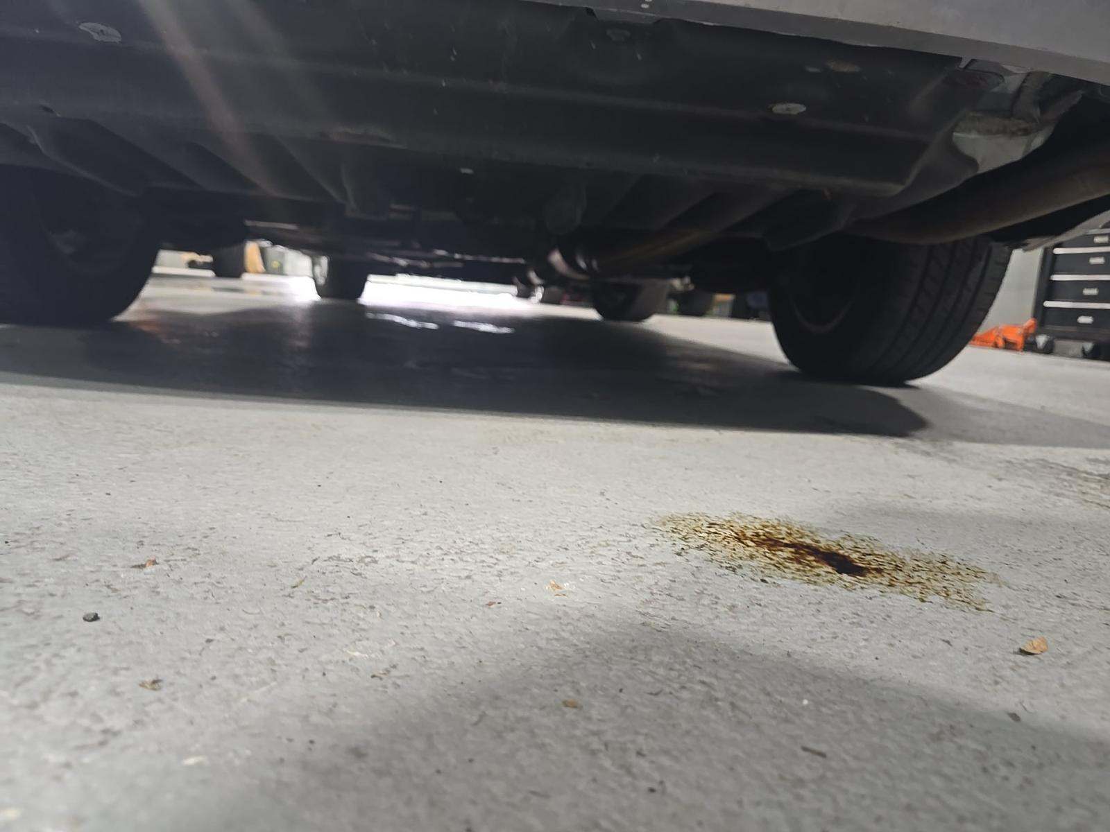 2017 Toyota Sienna XLE AWD