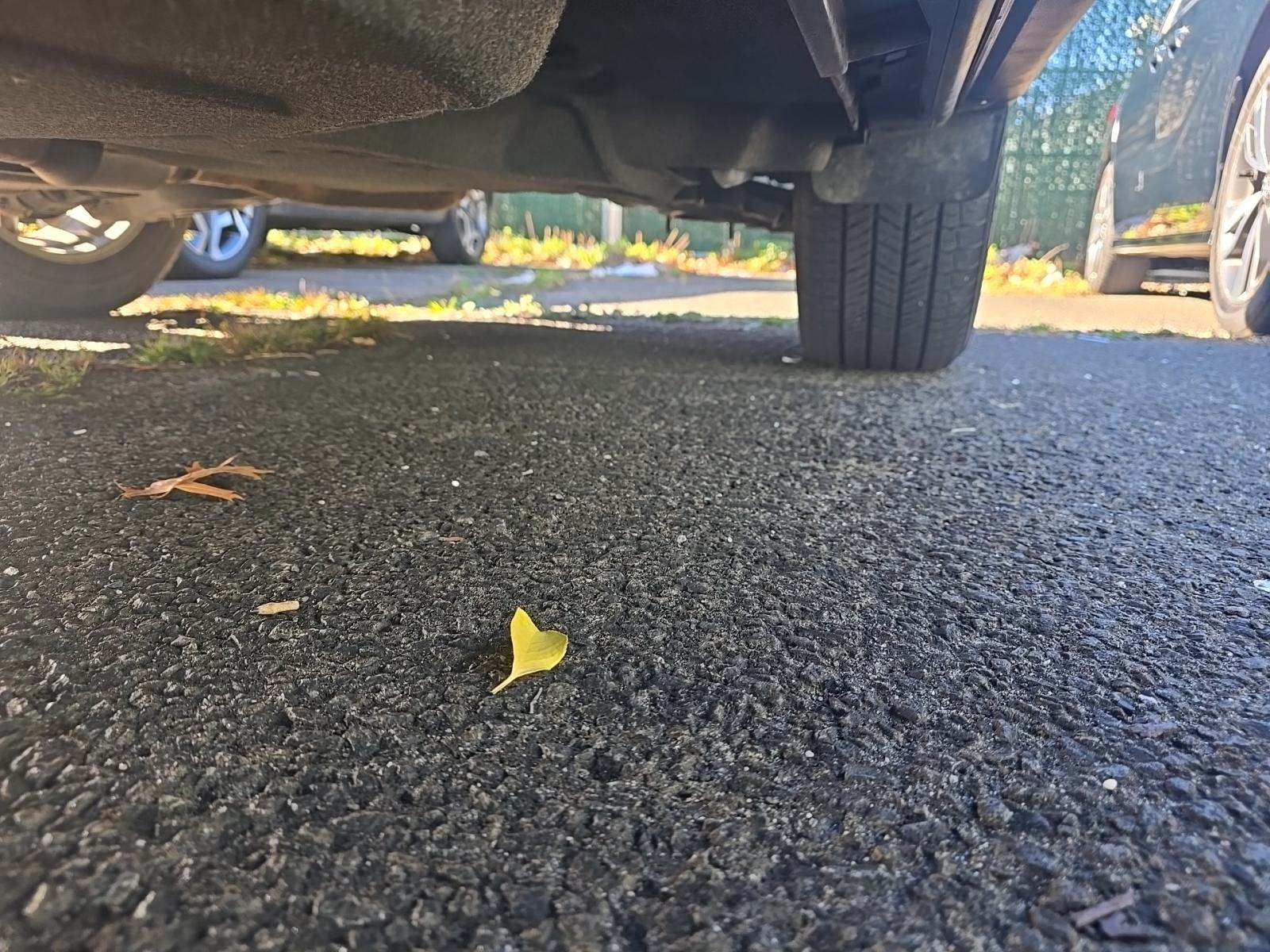 2023 MAZDA CX-5 2.5 S Preferred Package AWD