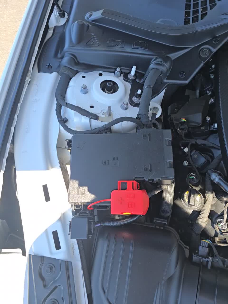 2025 Ford Mustang GT Premium RWD