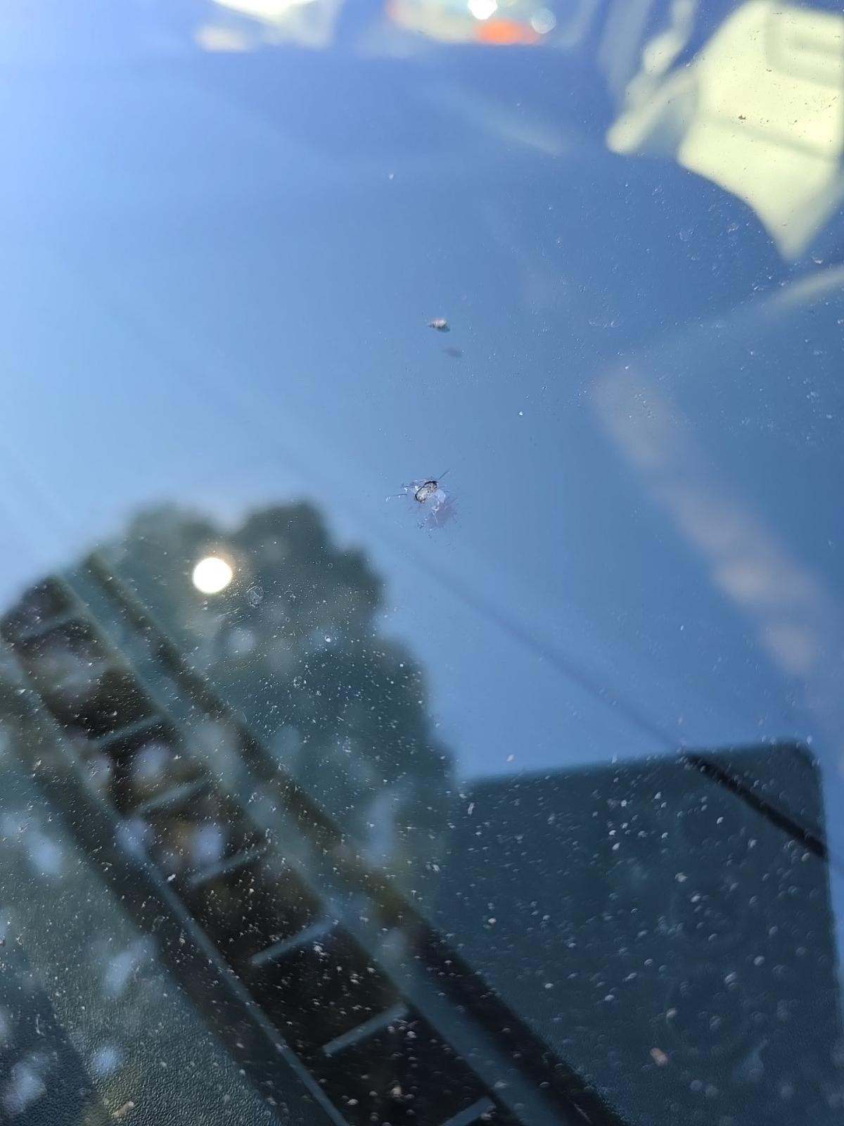 2017 Ford F-150 Raptor AWD