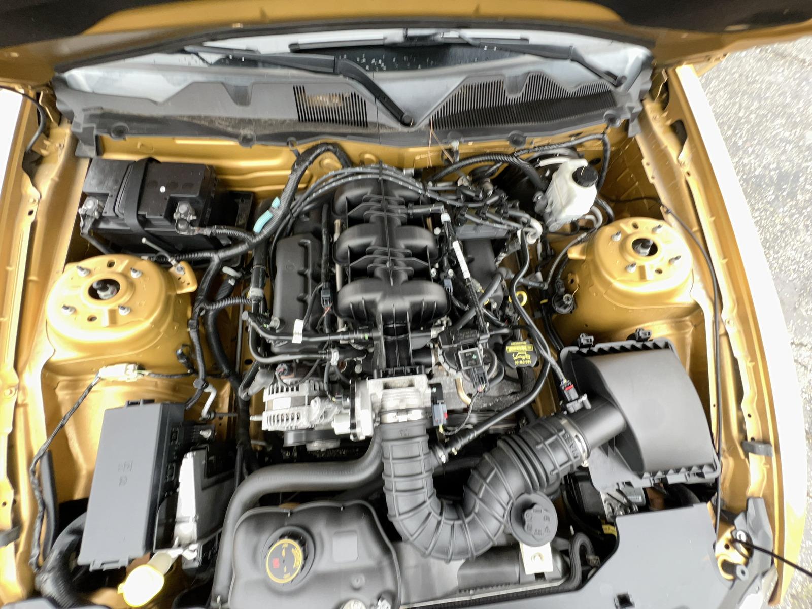 2010 Ford Mustang V6 RWD