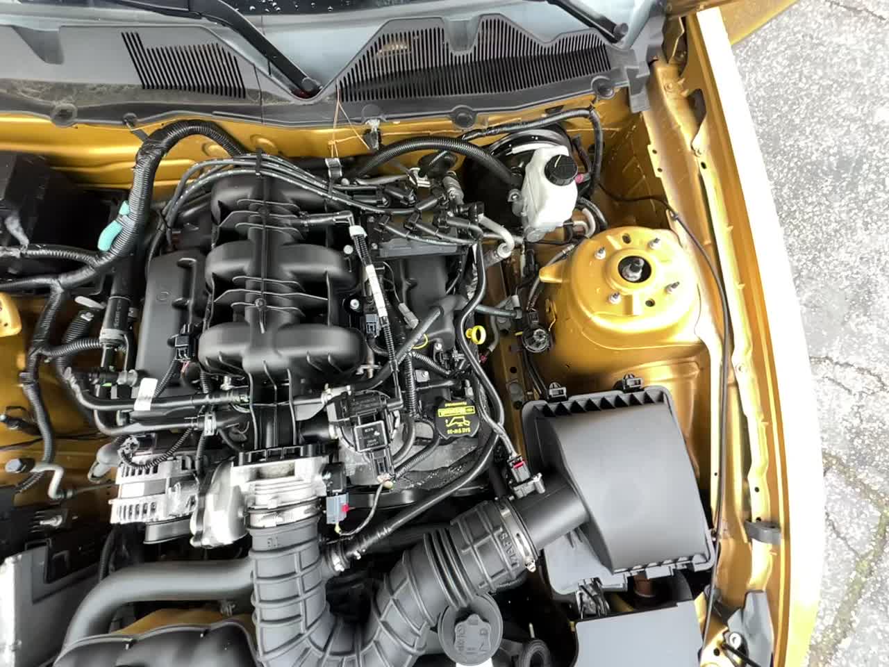 2010 Ford Mustang V6 RWD