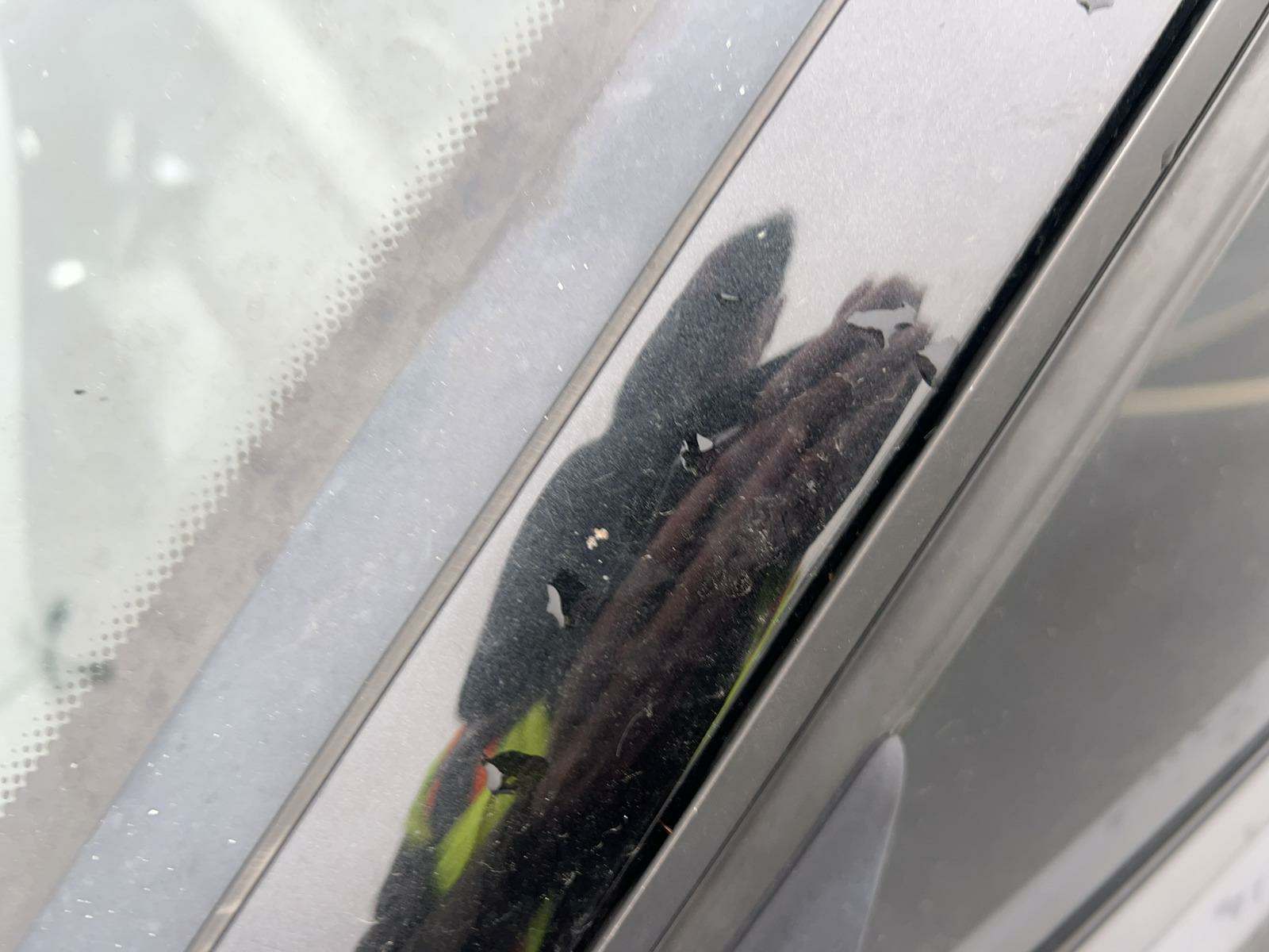 2011 BMW 3 Series 328i xDrive AWD