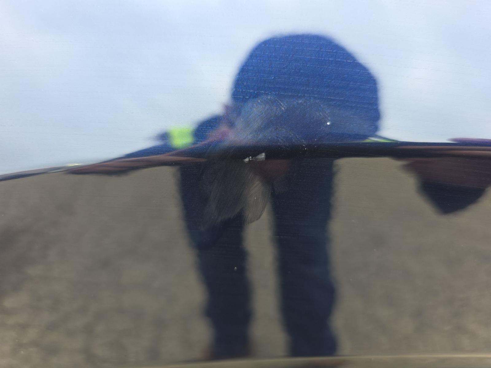 2023 Lexus RX RX 350 AWD