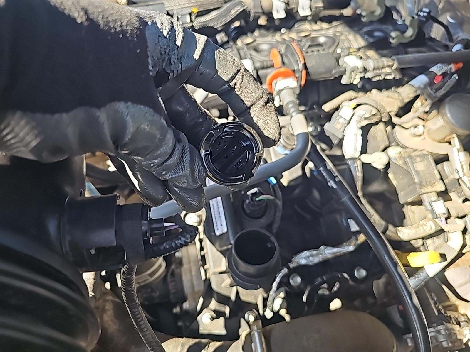 2025 Ford F-150 XLT AWD