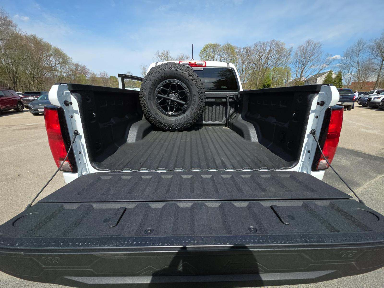 CHEVROLET SILVERADO - 10