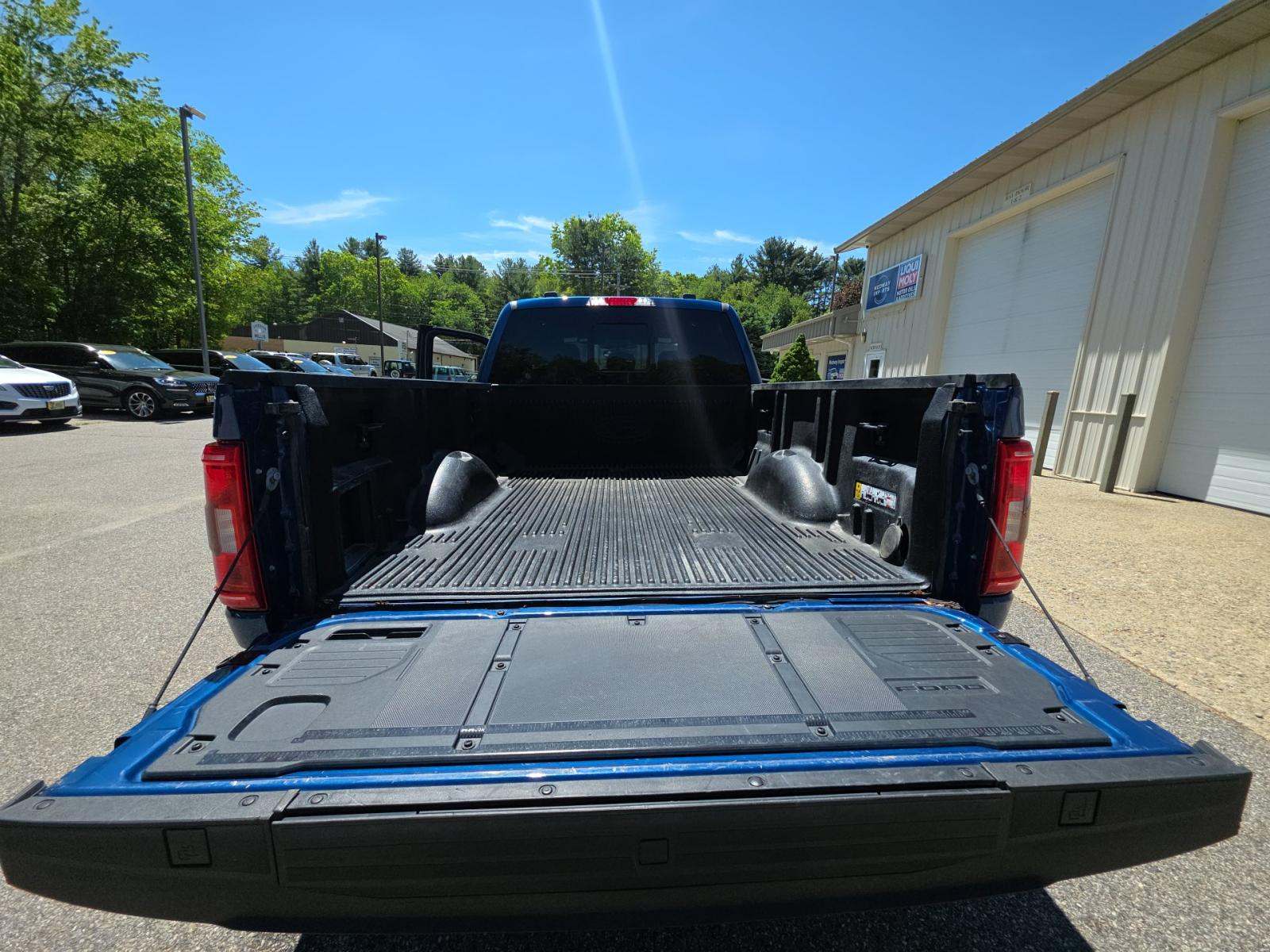 FORD F-150 - 10