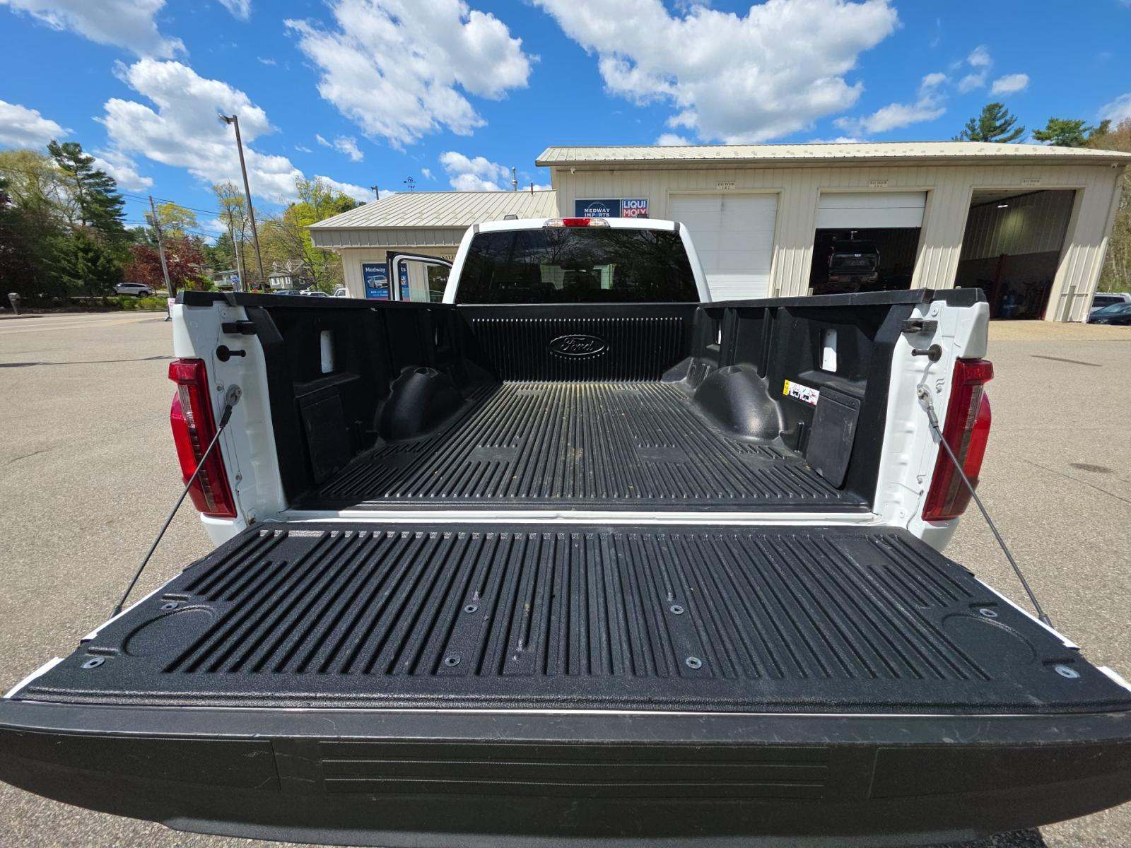 FORD F-150 - 10
