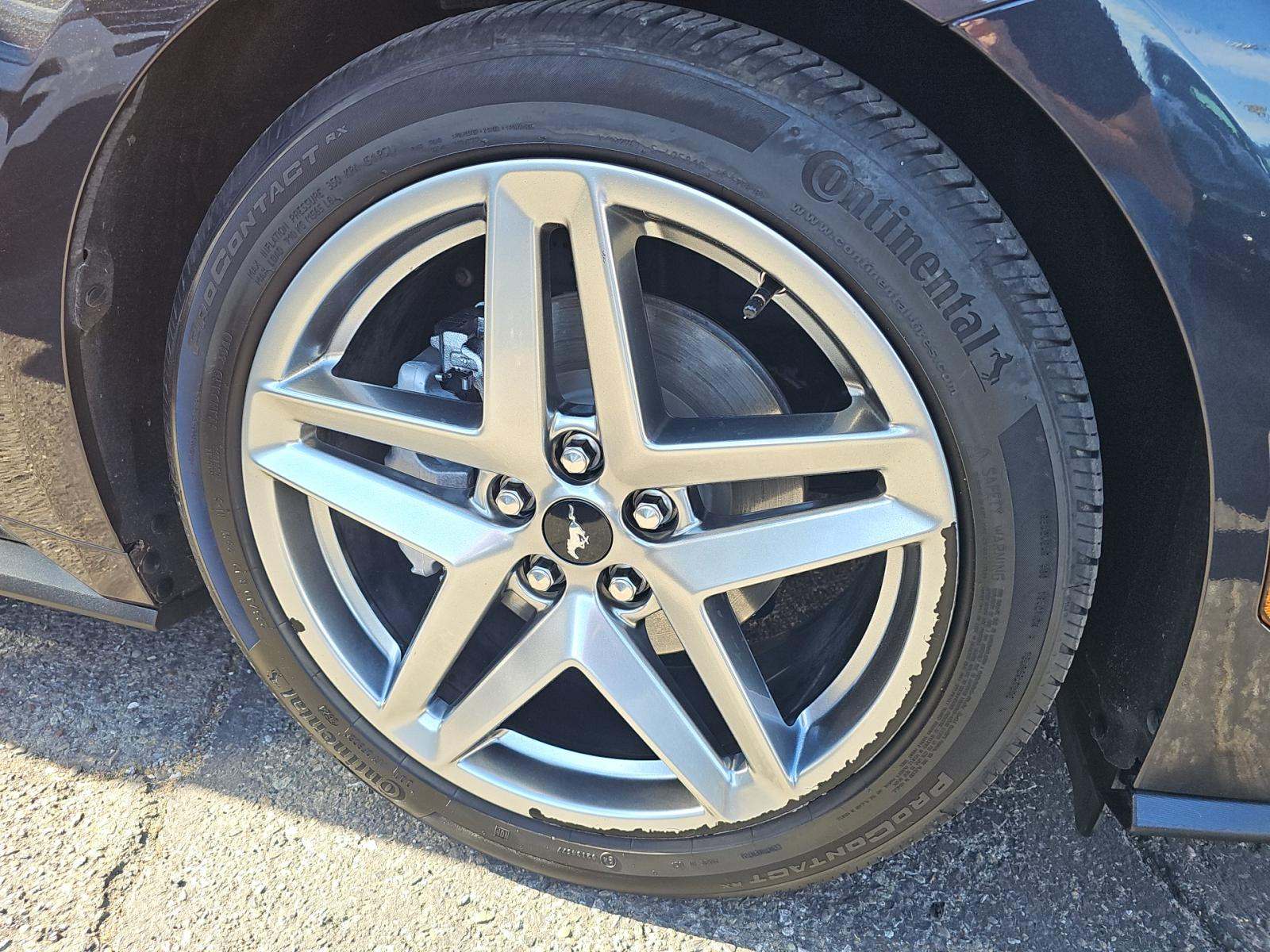 2024 Ford Mustang EcoBoost RWD