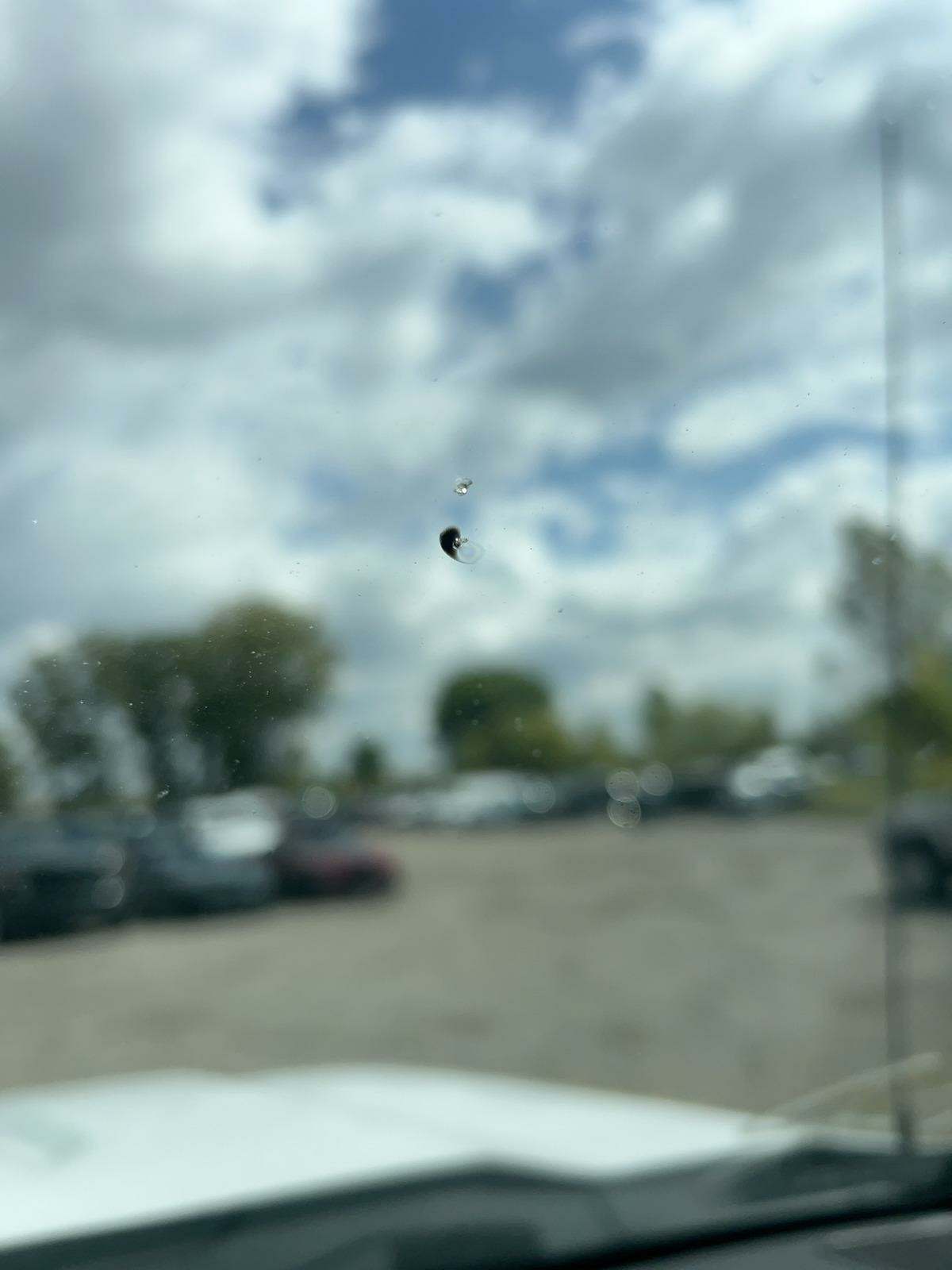 2020 Chevrolet Silverado 1500 Custom Trail Boss AWD