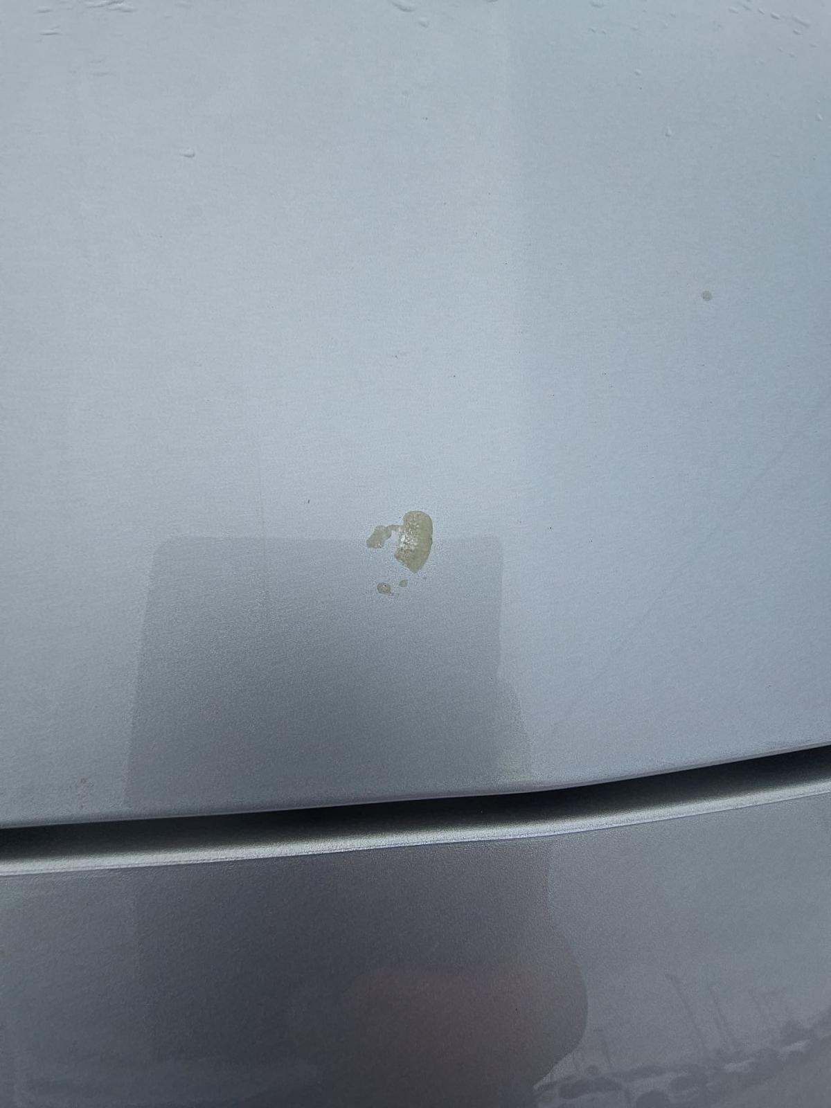 2023 Dodge Charger SXT RWD