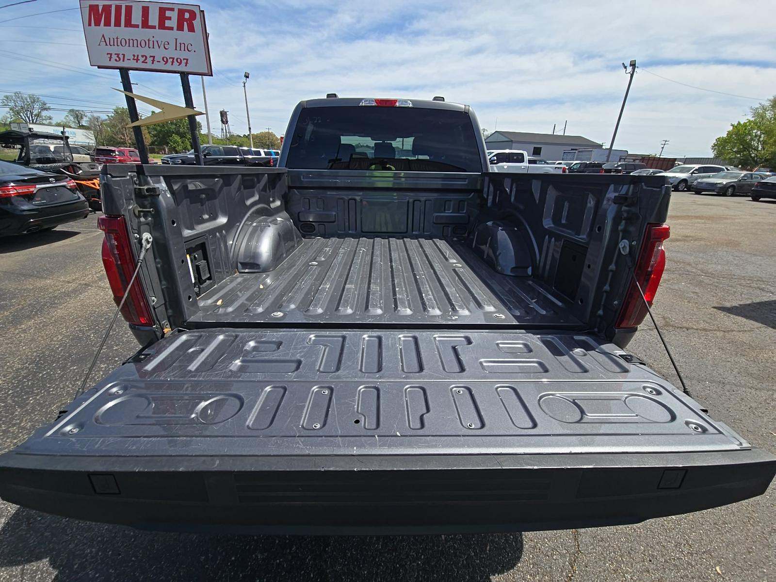 FORD F-150 - 10