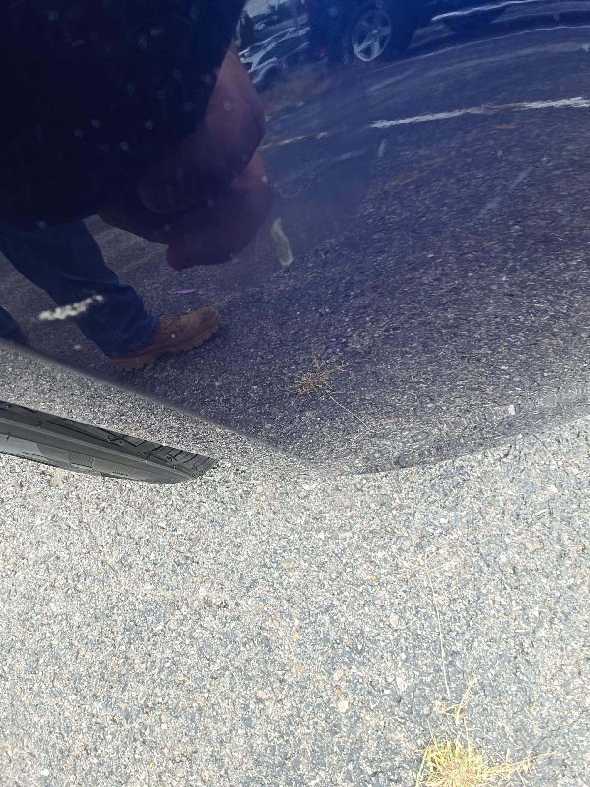 2017 Kia Optima LX FWD