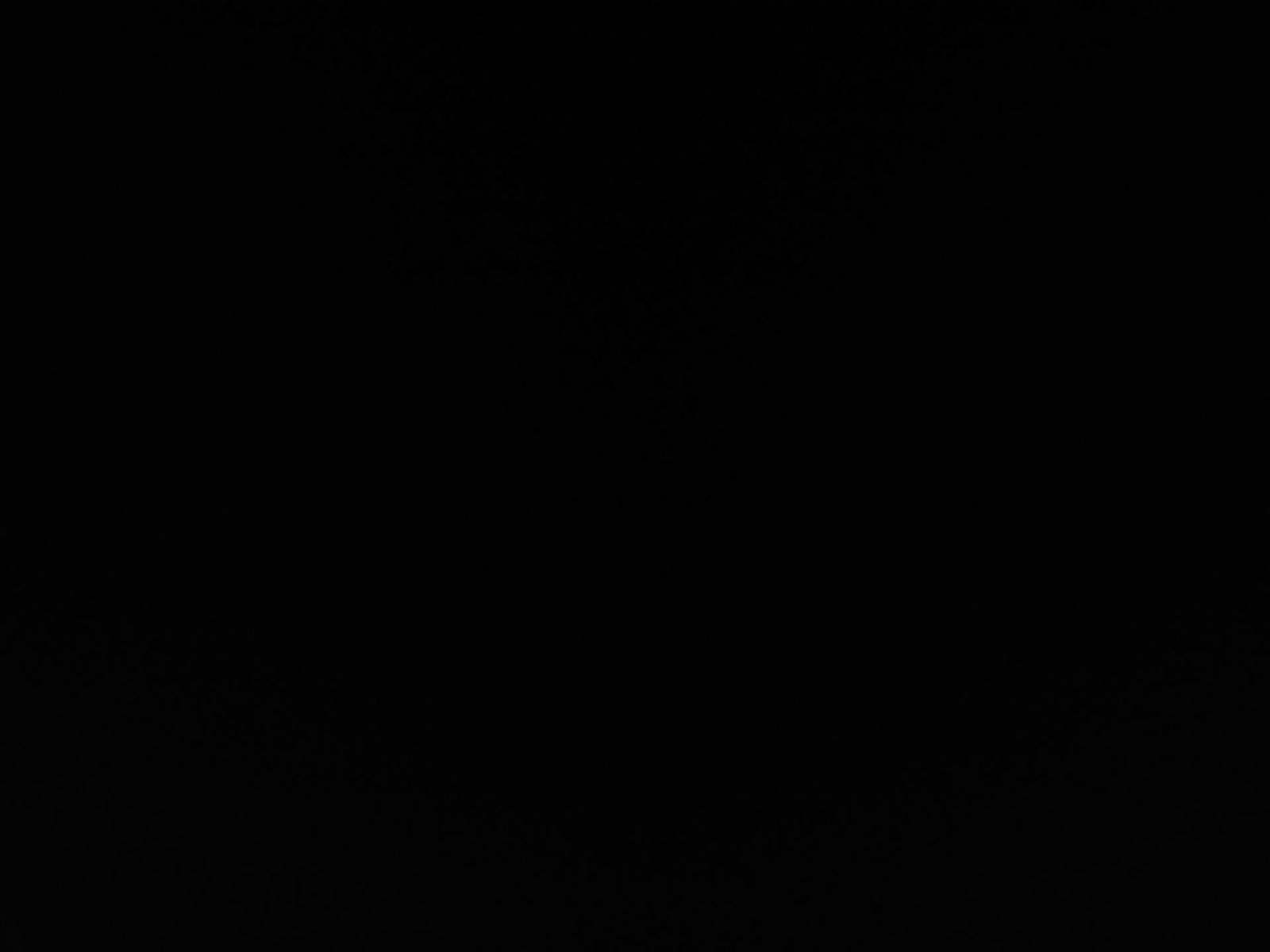 2019 Honda Accord Sport FWD