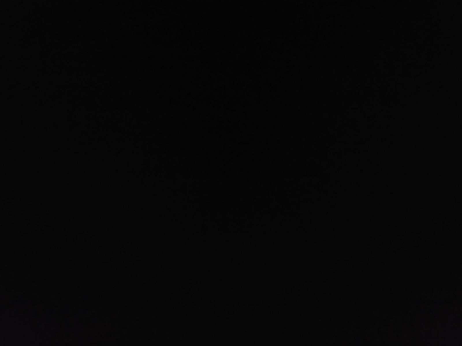 2019 Honda Accord Sport FWD